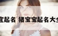猪宝宝宜起名 猪宝宝起名大全100分