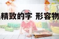 形容一种物品精致的字 形容物品精致的四字词语