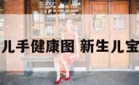 初生婴儿手健康图 新生儿宝宝的手