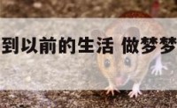 做梦梦到回到以前的生活 做梦梦到回到以前的生活状态