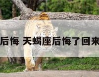 天蝎座后悔 天蝎座后悔了回来找你吗