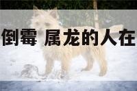 属龙2018倒霉 属龙的人在2018年运势