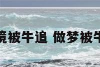 梦境被牛追 做梦被牛追