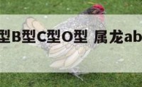 属龙人A型B型C型O型 属龙ab男性格特点