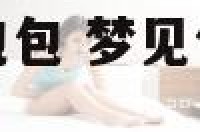 梦见元宝形状的包包 梦见包元宝饺子是什么征兆