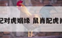 生肖鼠配对虎姻缘 鼠肖配虎肖怎么样