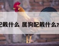 属狗要配戴什么 属狗配戴什么水晶最好