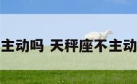 天秤座不主动吗 天秤座不主动吗为什么