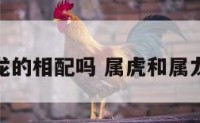 属虎跟属龙的相配吗 属虎和属龙配对指数