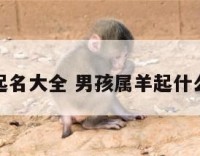 羊男孩起名大全 男孩属羊起什么名字好