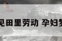 孕妇梦见田里劳动 孕妇梦到耕田