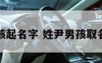 尹姓男孩起名字 姓尹男孩取名字好听