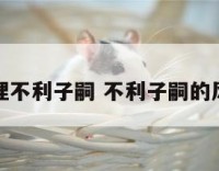 命理不利子嗣 不利子嗣的风水