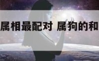 属狗与属猴属相最配对 属狗的和属猴相最配吗