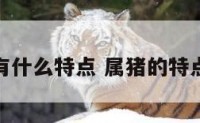 属猪的有什么特点 属猪的特点和性格