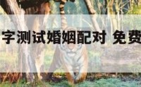 免费生辰八字测试婚姻配对 免费算生辰八字配对