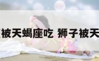 狮子座被天蝎座吃 狮子被天蝎吸引