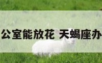 天蝎座办公室能放花 天蝎座办公室风水