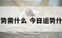 今日运势需什么 今日运势什么方向
