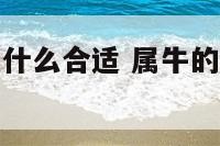 属牛的人和属什么合适 属牛的人跟属什么的人最配