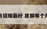 属猴几月结婚最好 属猴哪个月结婚好