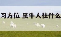 属牛人的学习方位 属牛人往什么方向求学比较好