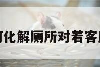 包含如何化解厕所对着客厅的词条