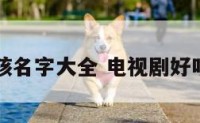 电视剧女孩名字大全 电视剧好听女孩名字
