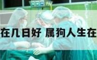 属狗生在几日好 属狗人生在几日好