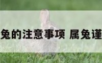 属兔的注意事项 属兔谨慎