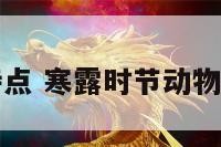 寒露动物特点 寒露时节动物有什么活动