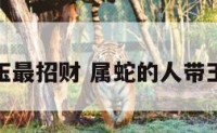 属蛇戴玉最招财 属蛇的人带玉好不好