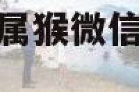 属猴的微信名字 属猴微信名字转运 带来好运