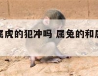 属兔的跟属虎的犯冲吗 属兔的和属虎的犯相吗