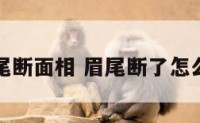眉尾断面相 眉尾断了怎么办