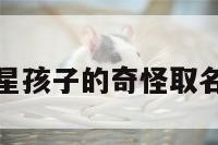 包含明星孩子的奇怪取名的词条