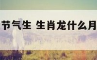 属龙的什么节气生 生肖龙什么月份和时间出生好