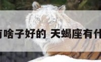 天蝎座有啥子好的 天蝎座有什么优势?