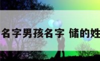 储名字男孩名字 储的姓名