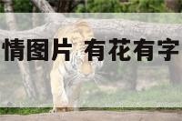 有花有字的爱情图片 有花有字的爱情图片大全