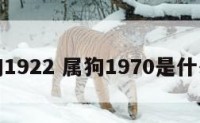 属狗1922 属狗1970是什么命