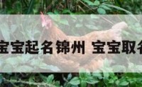 宝宝起名锦州 宝宝取名