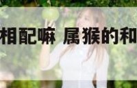 属猴和属羊的相配嘛 属猴的和属羊的相配好不好