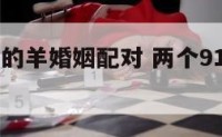 两个91年的羊婚姻配对 两个91年的羊结婚好吗