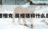 什么属猪相克 属相猪和什么属相犯冲