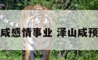 泽山咸感情事业 泽山咸预示着