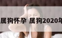 2019属狗怀孕 属狗2020年怀孕