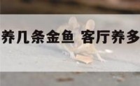客厅里适合养几条金鱼 客厅养多少鱼适合发财