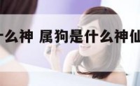 属狗人是什么神 属狗是什么神仙转世的人10点多出生