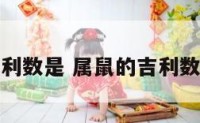 属鼠的吉利数是 属鼠的吉利数字有哪些